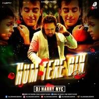 Hum Tere Bin Remix Mp3 Song - Dj Harry